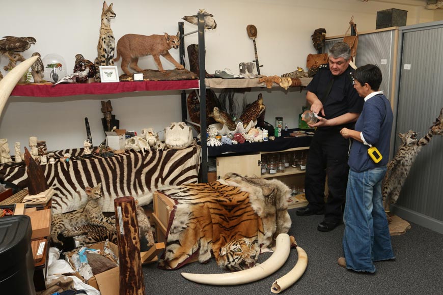 WWF - Illegal wildlife trade: action taken to fight it in Greece